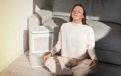How Air Filtration Systems Can Help Your Home’s Air Quality
