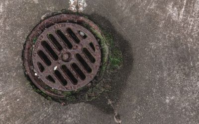 When to Call a Plumber for Your Clogged Drain: A Homeowner’s Guide